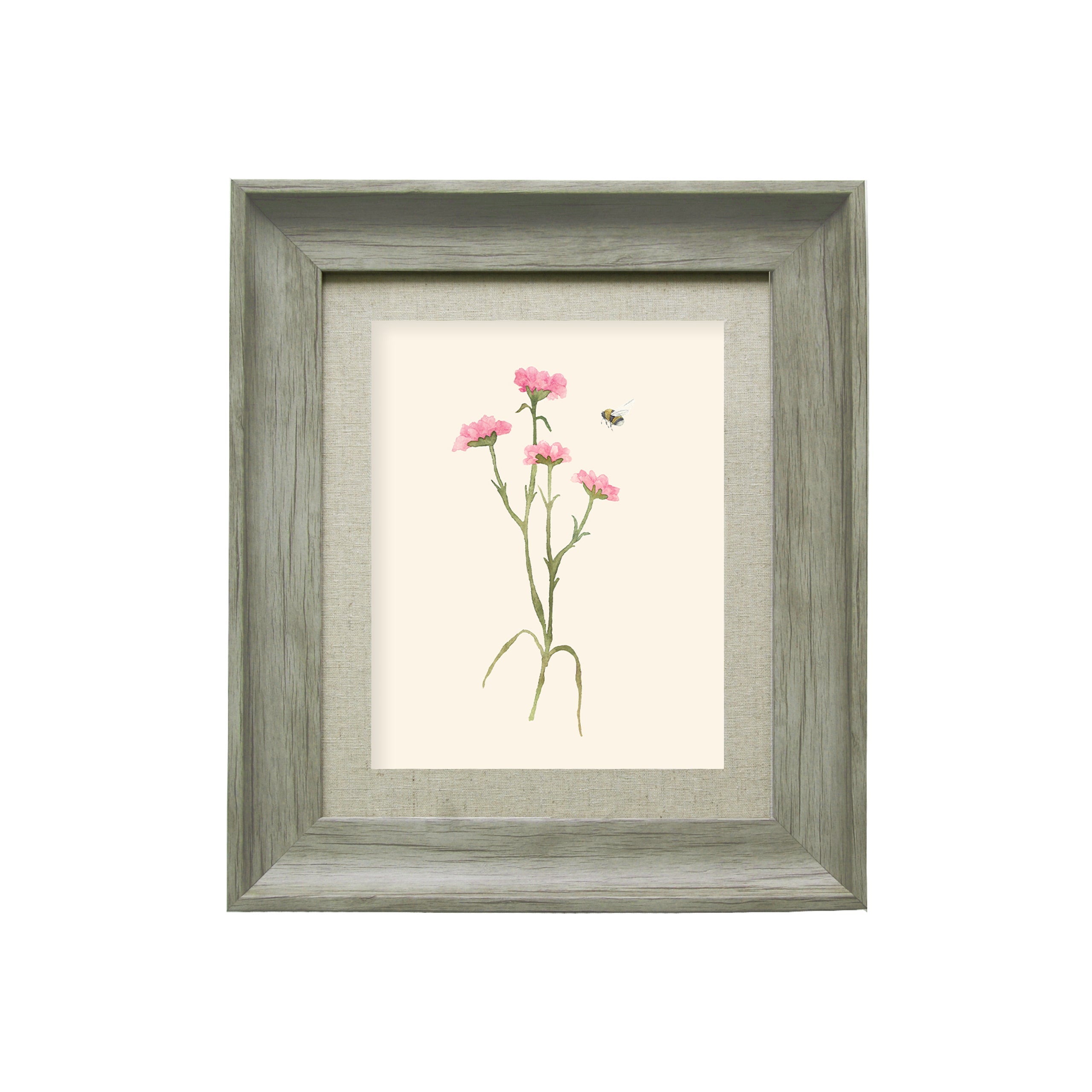 Allimore Framed Print