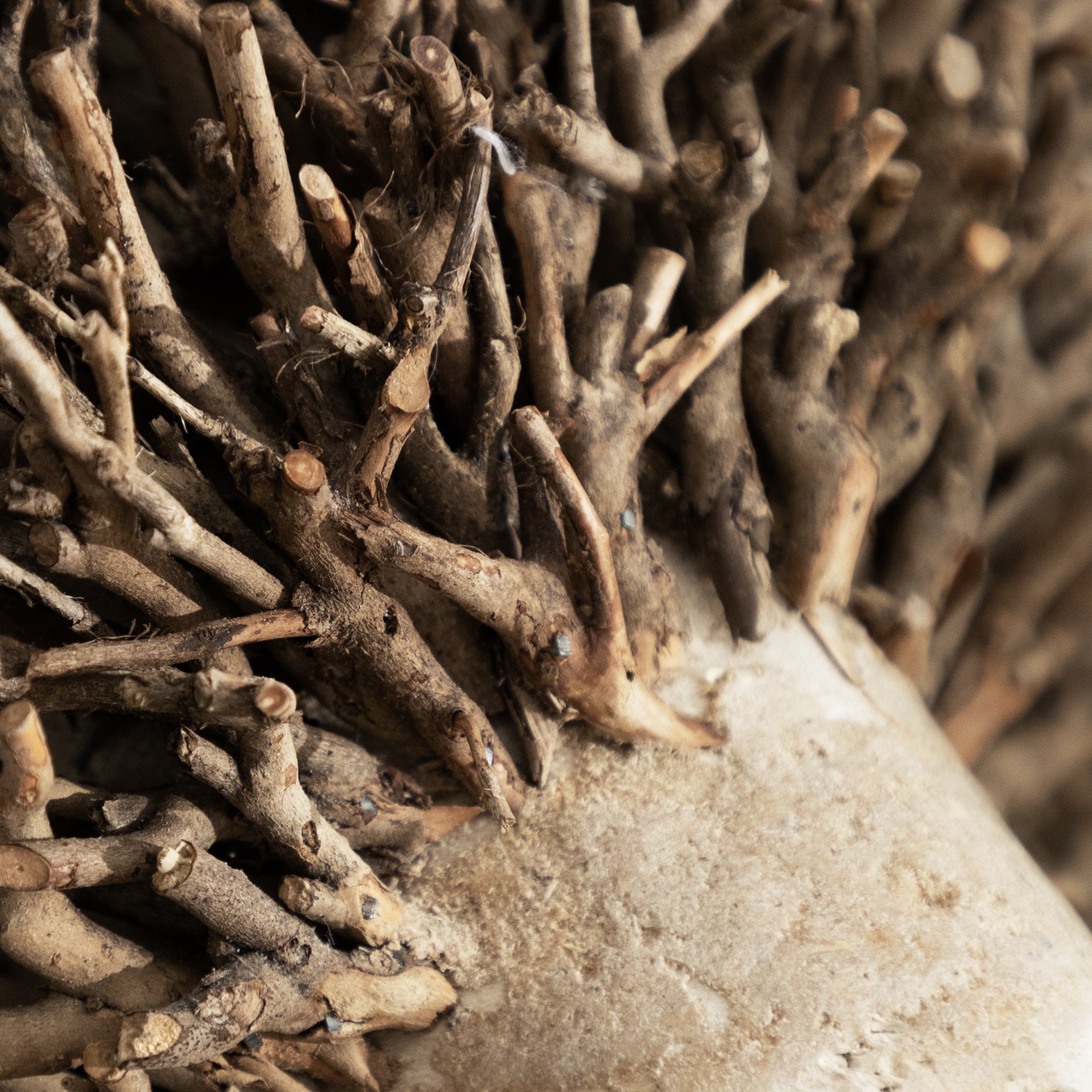 Betty Hand Crafted Ram Wooden Sculpture