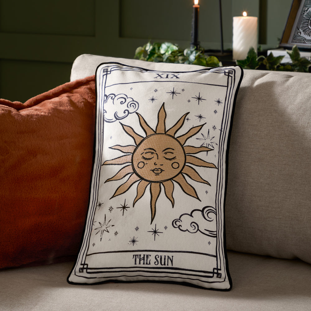 Celestial Stories Embroidered Velvet Cushion