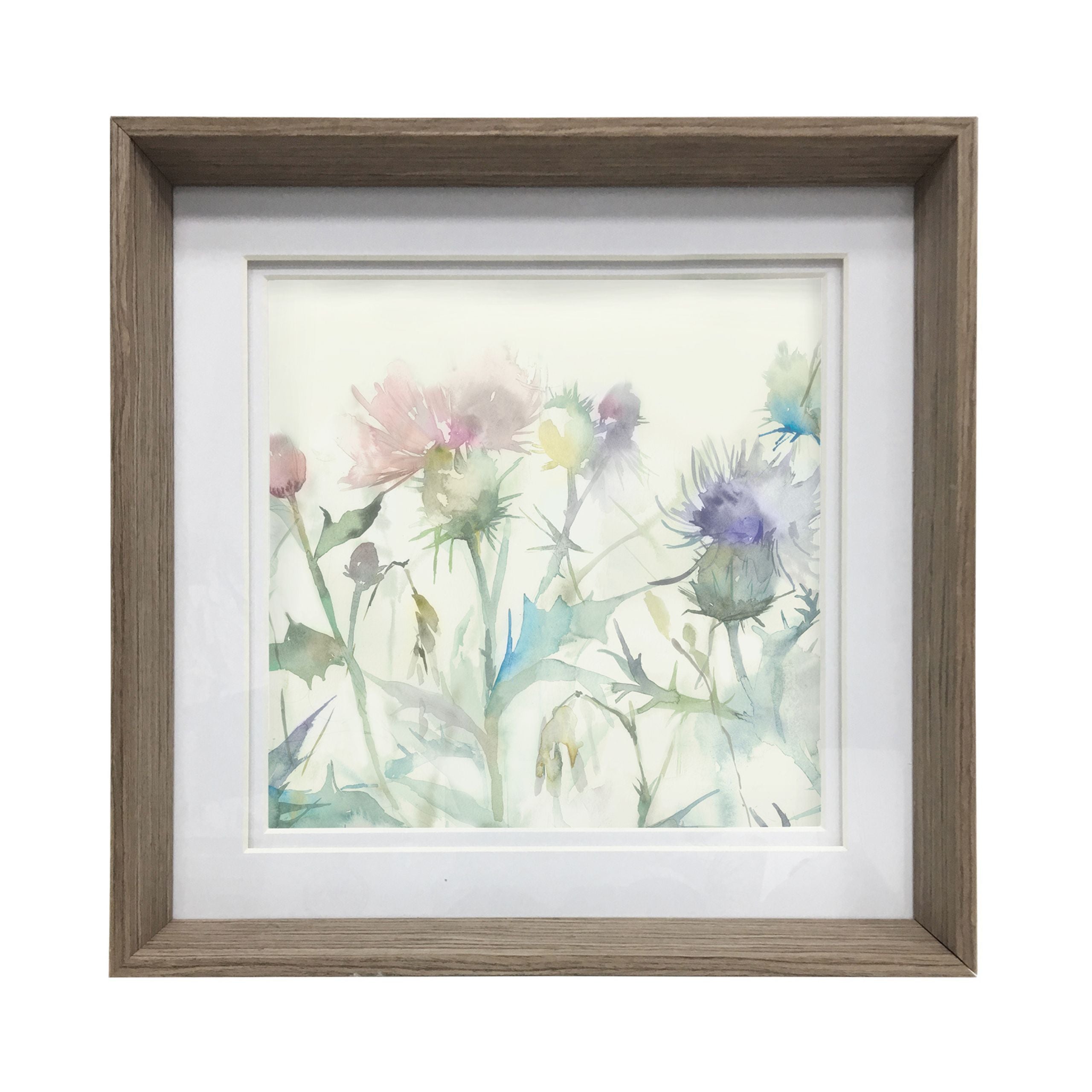 Cirsium Framed Print