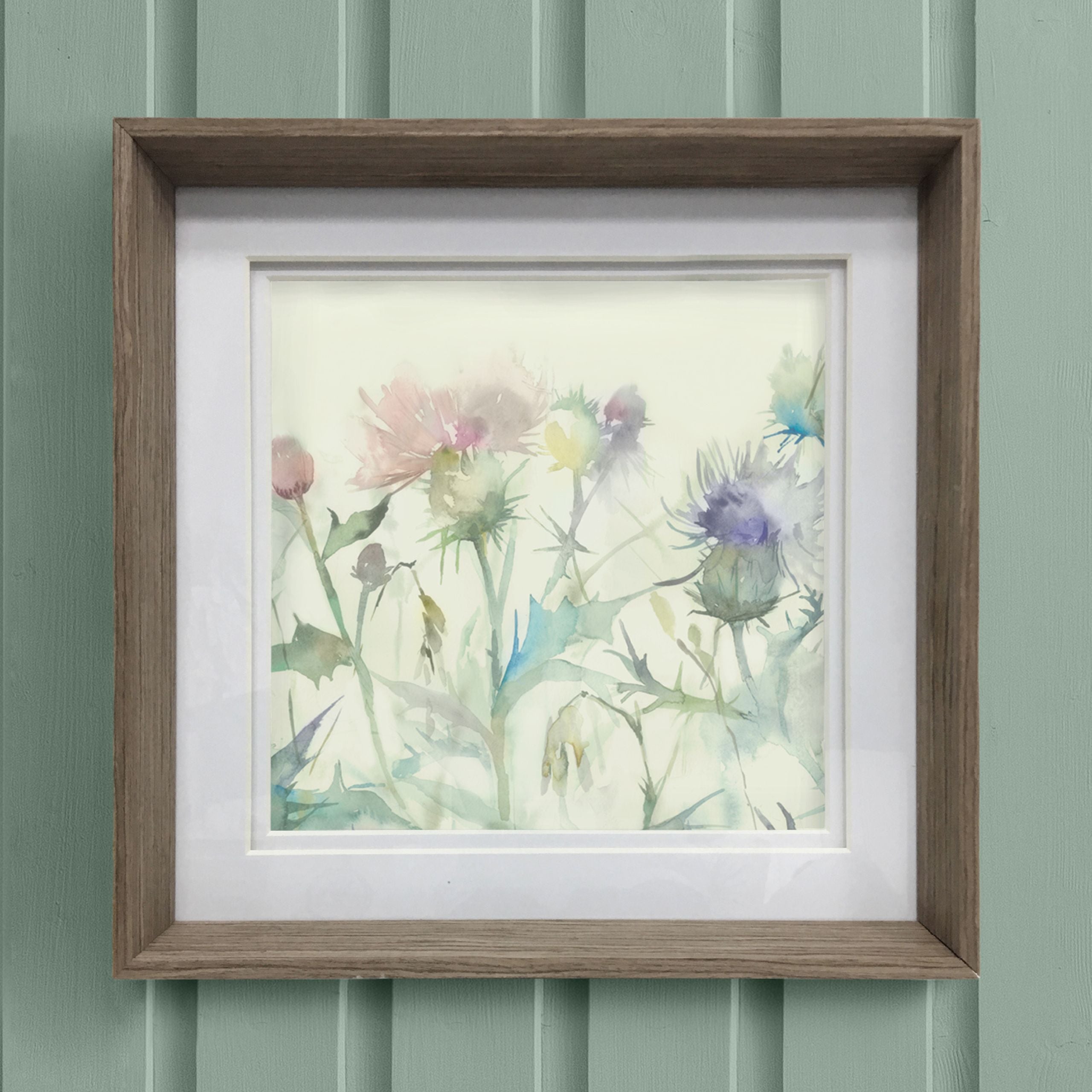 Cirsium Framed Print