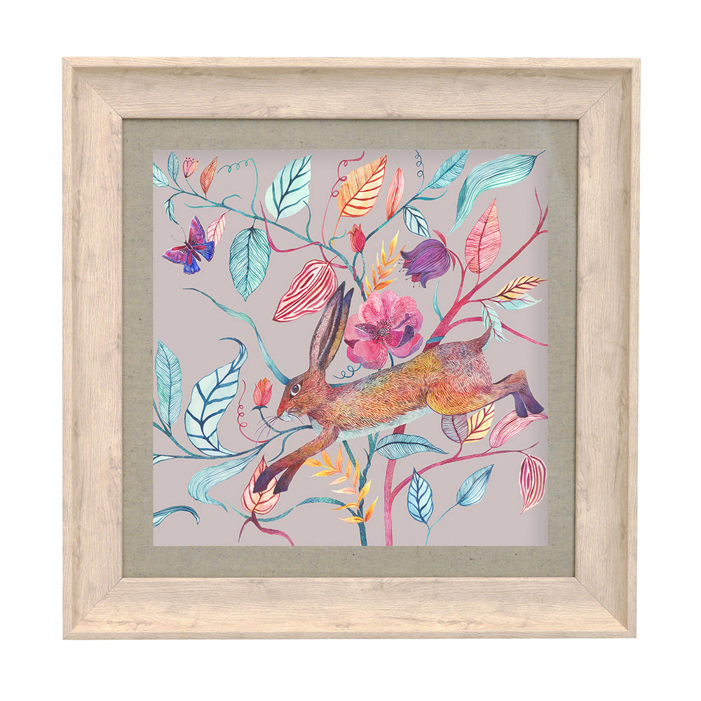 Hansel Hare Framed Print