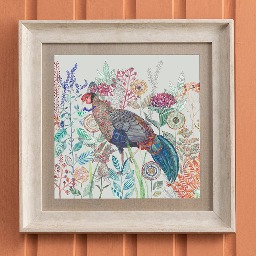 Lady Amherst Framed Print