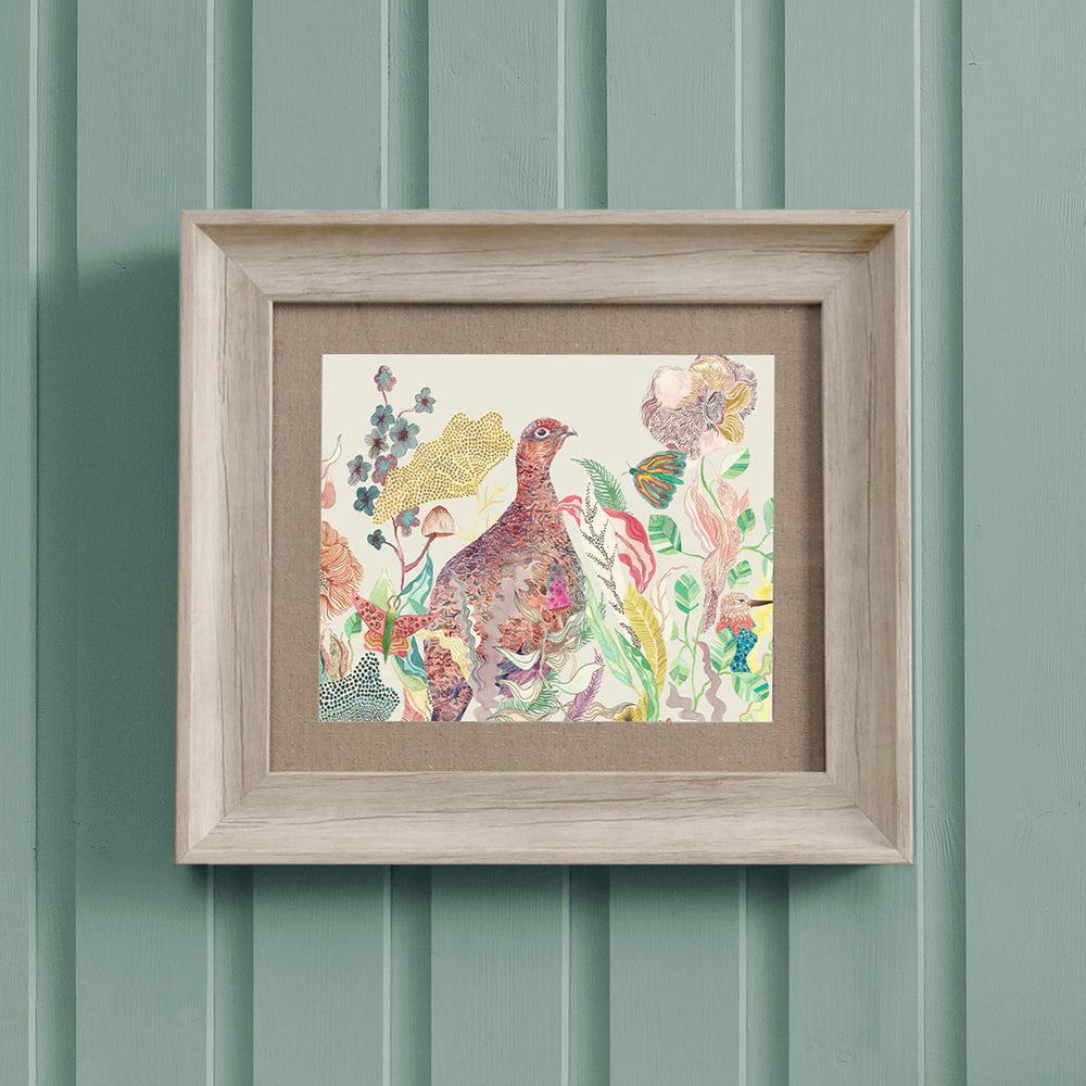 Lady Grouse Framed Print