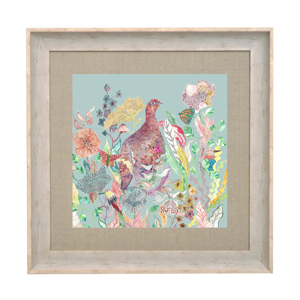 Lady Grouse Framed Print