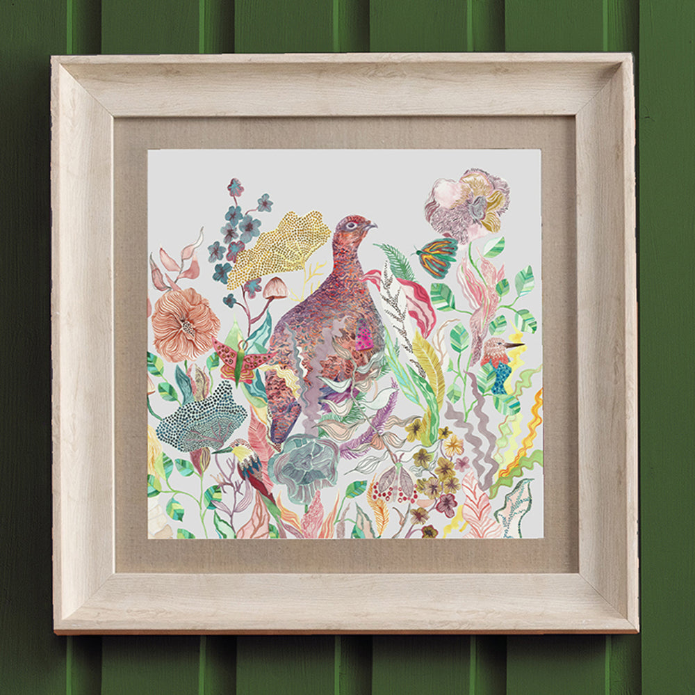 Lady Grouse Framed Print