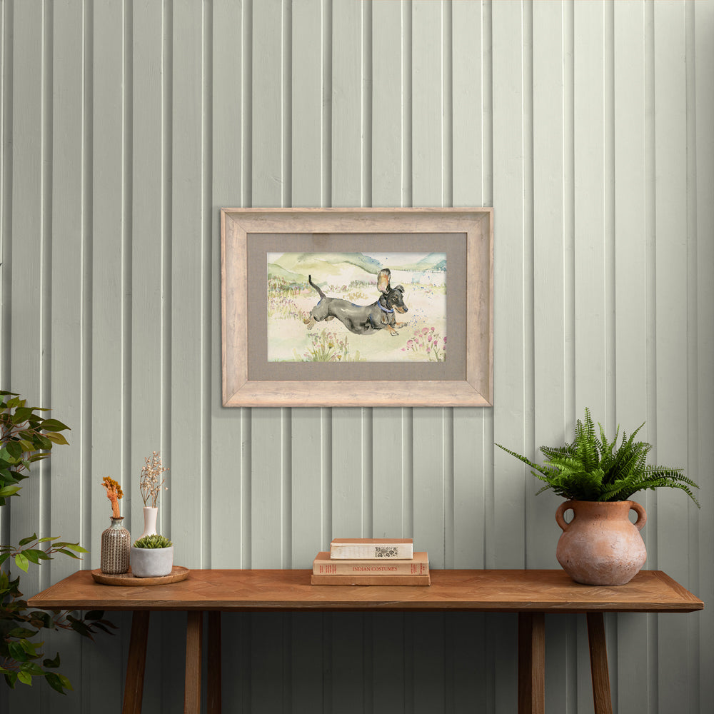 Louie The Dachshund Framed Print