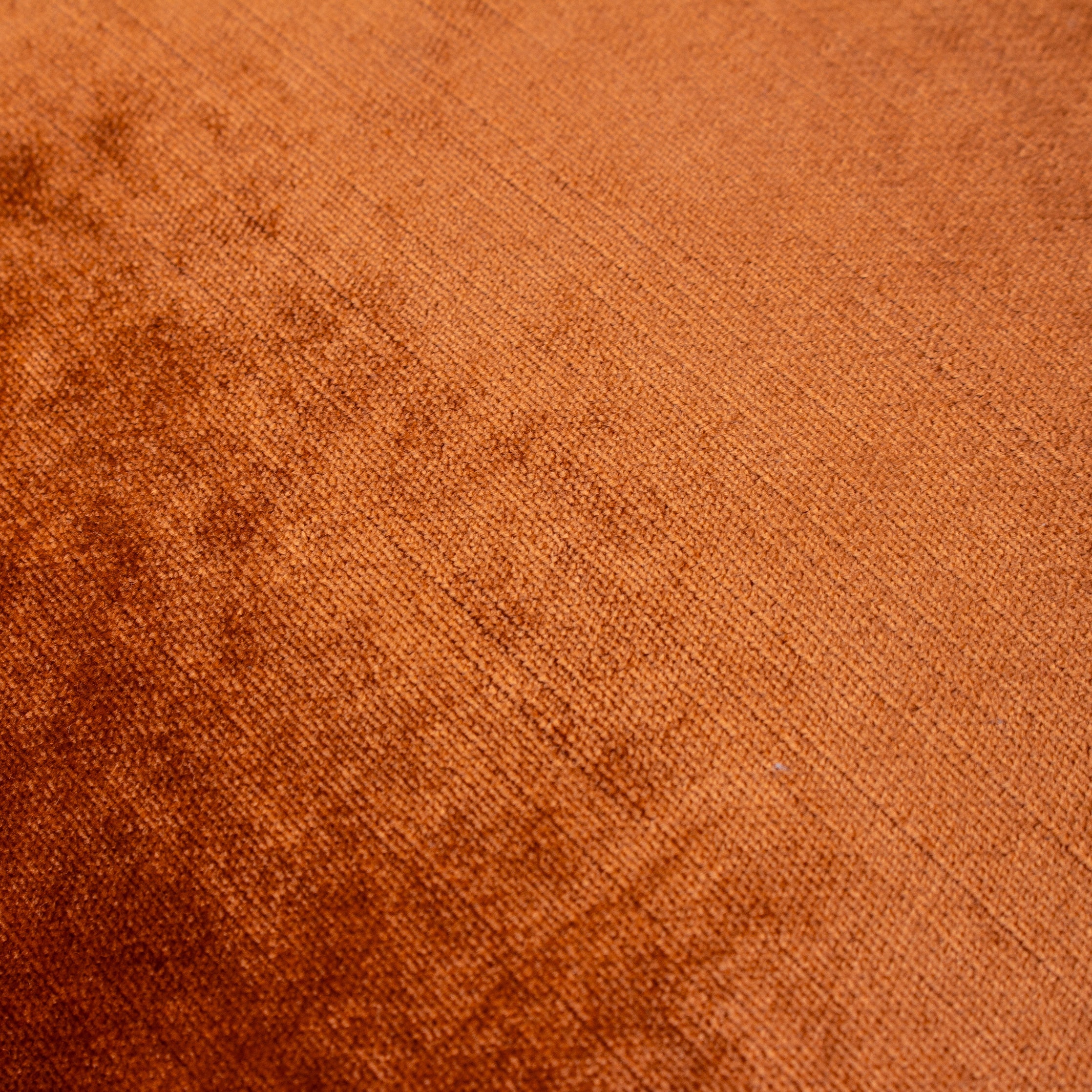 Luxe Velvet Piped Cushion