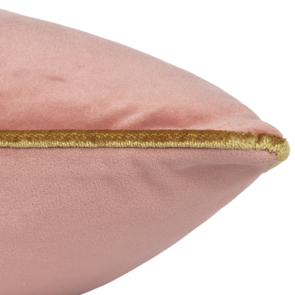 Meridian Velvet Cushion