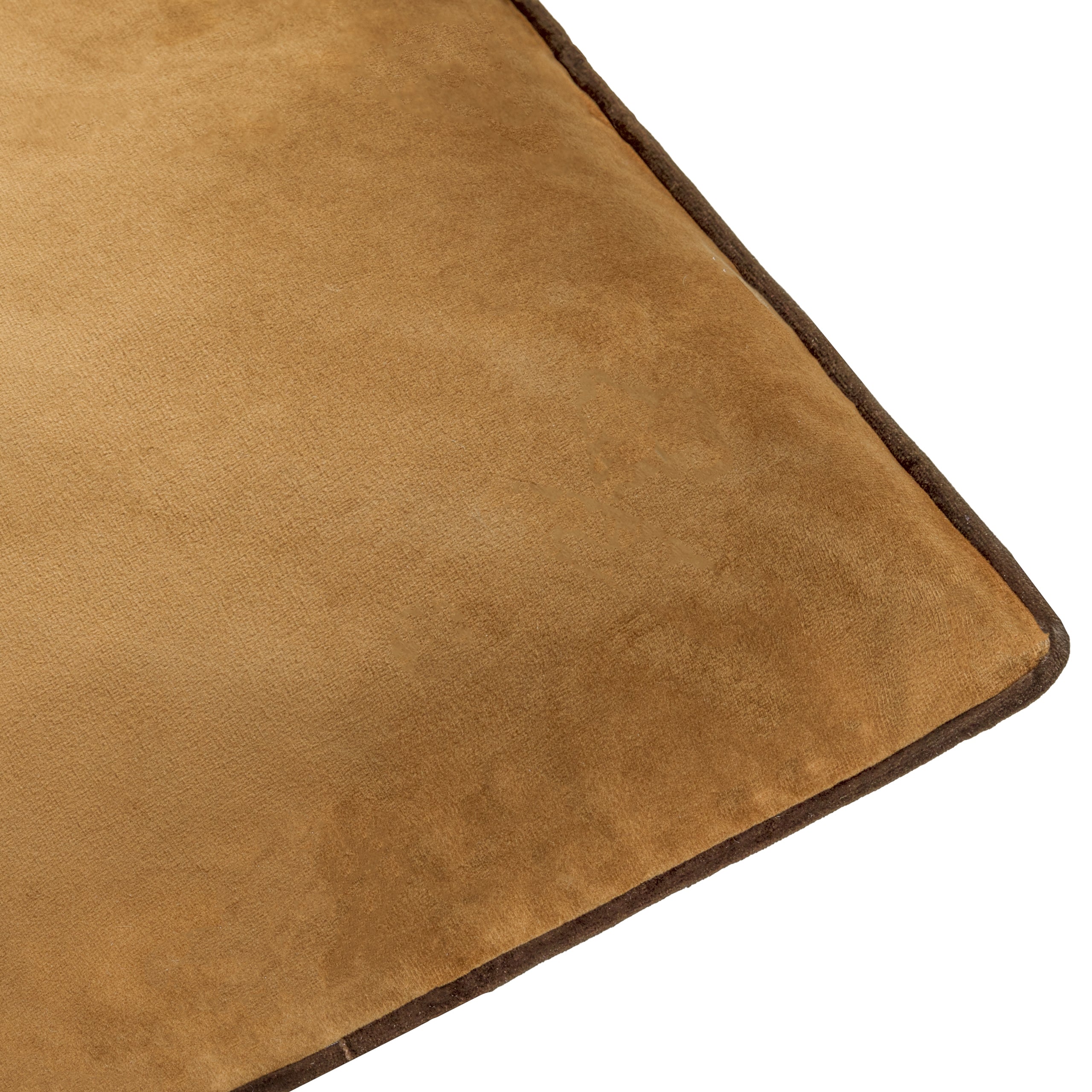 Meridian Velvet Cushion