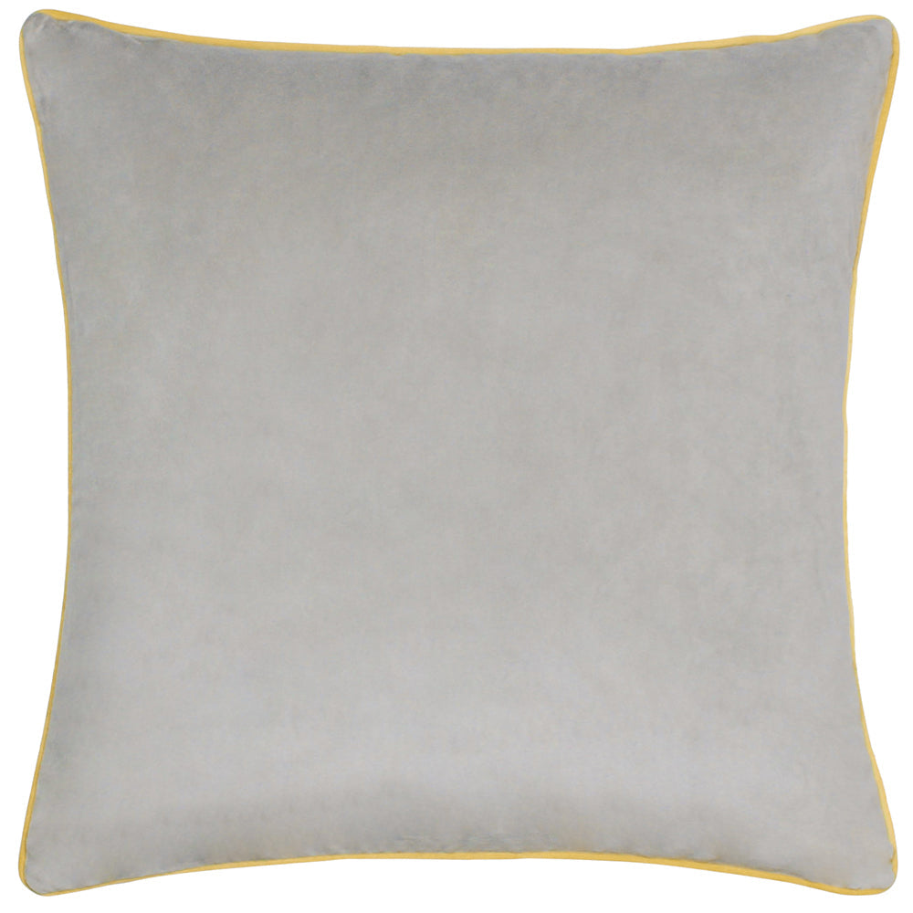 Meridian Velvet Cushion