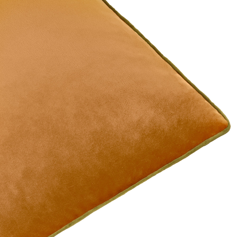 Meridian Velvet Cushion