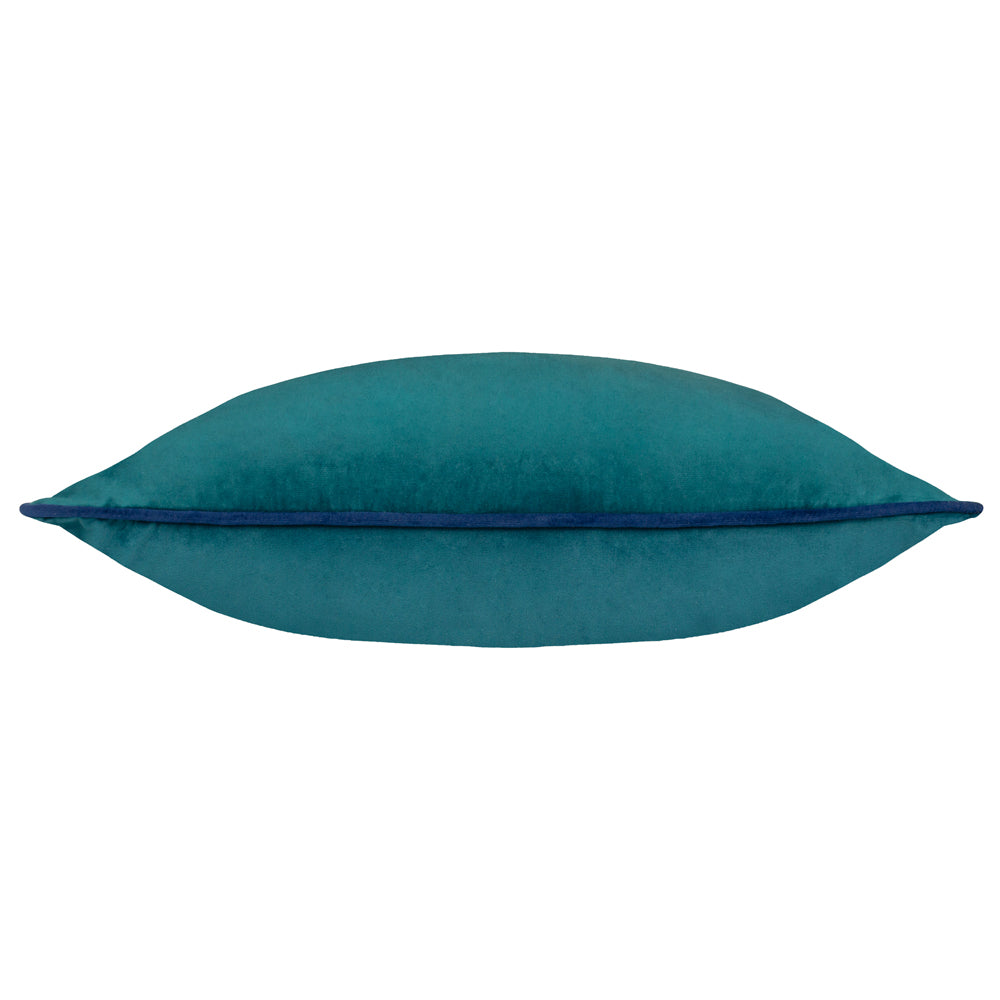 Meridian Velvet Cushion