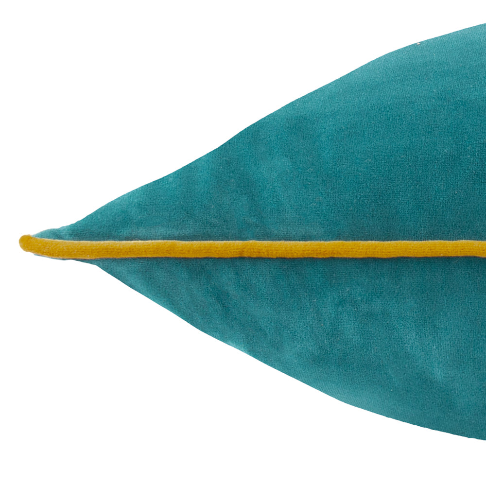 Meridian Velvet Cushion