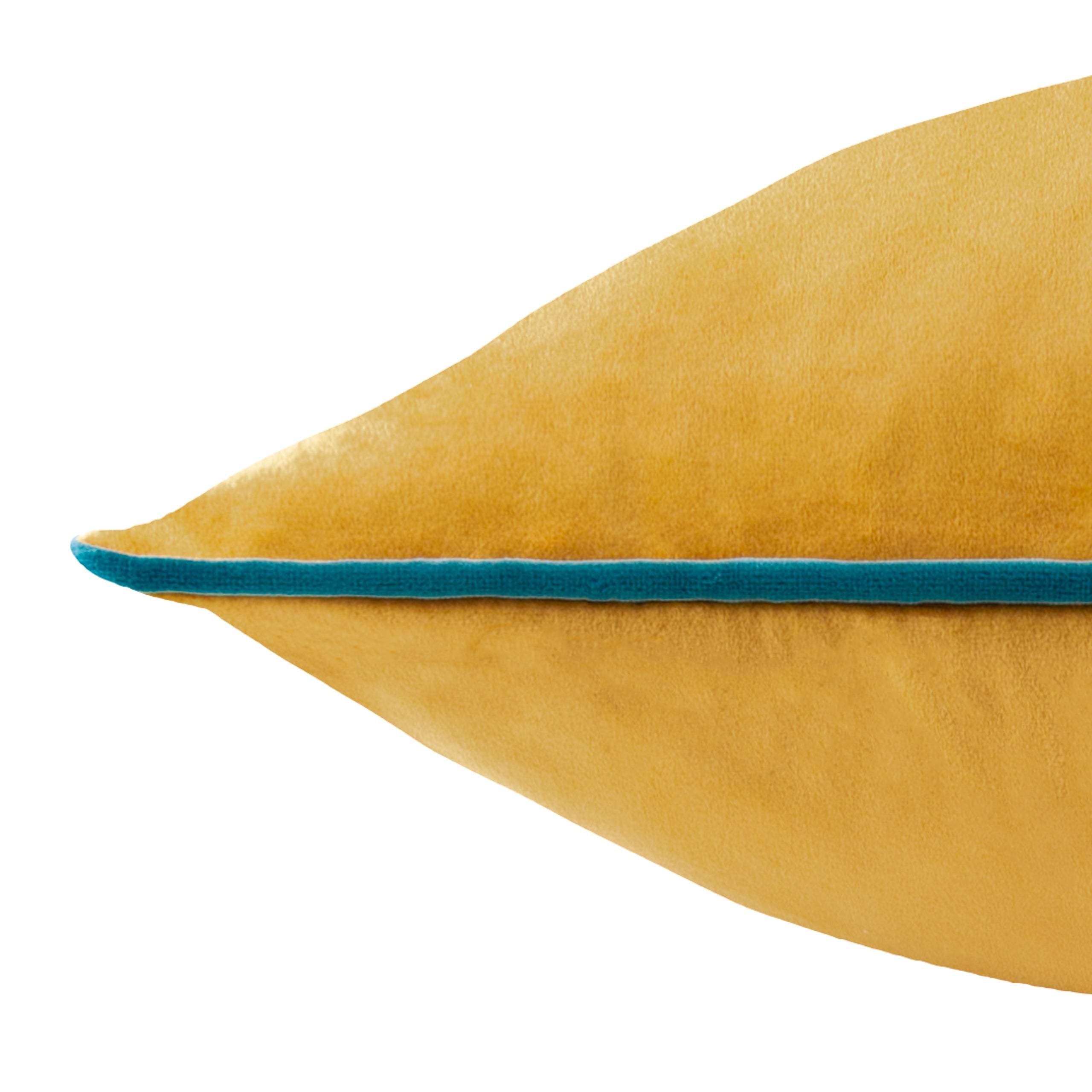 Meridian Velvet Cushion