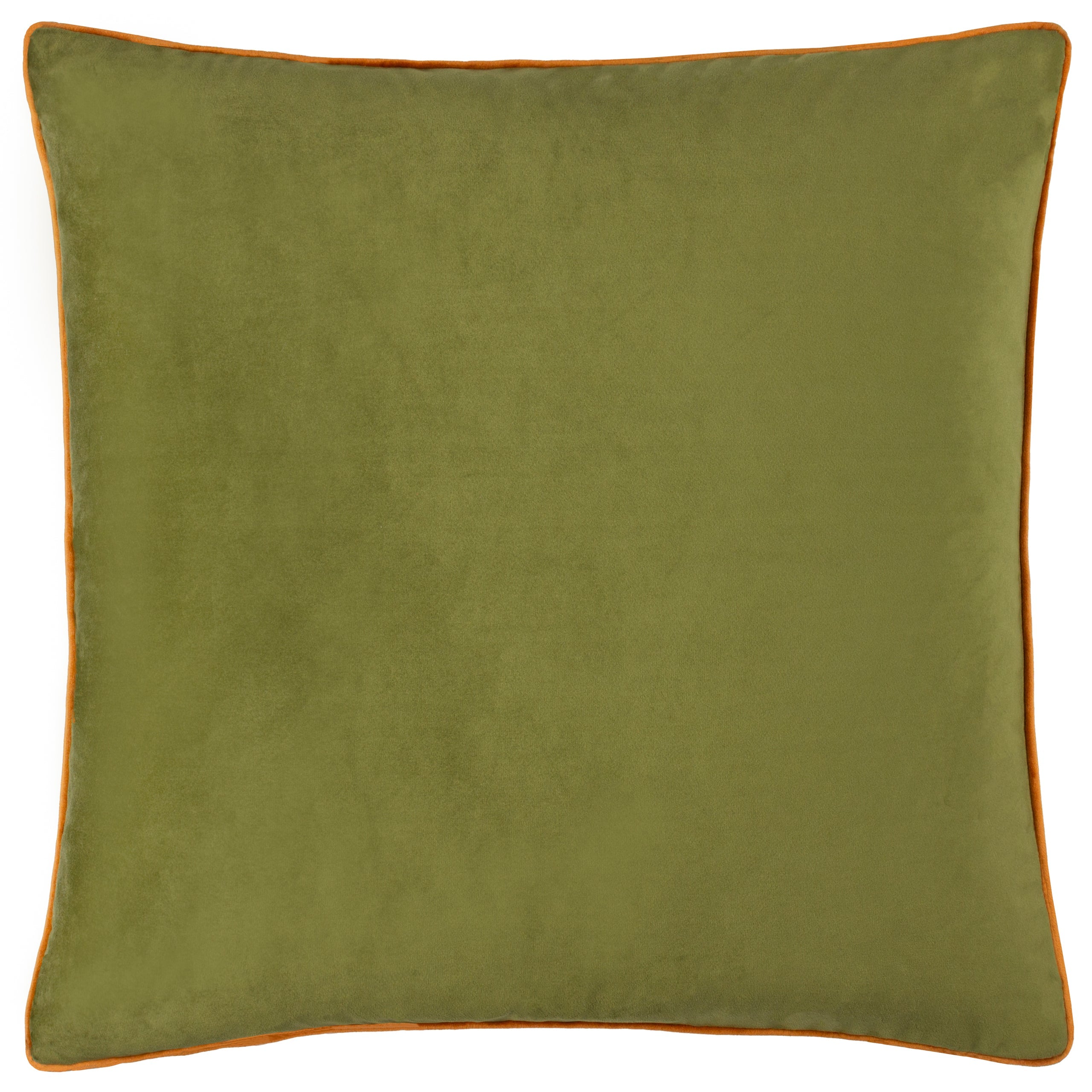 Meridian Velvet Cushion