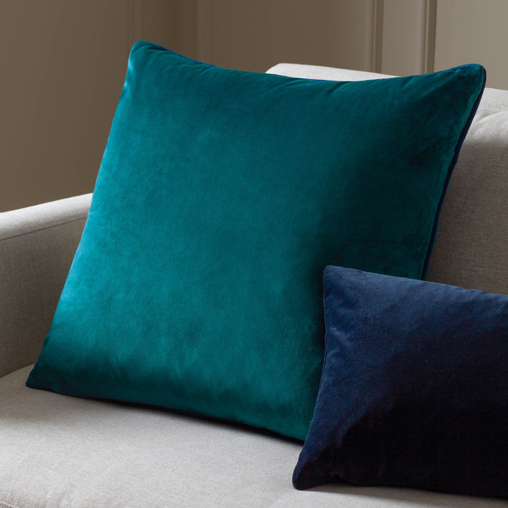 Meridian Velvet Cushion