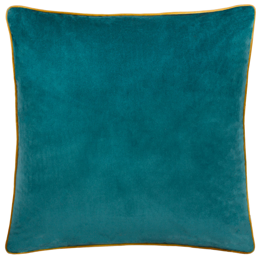 Meridian Velvet Cushion