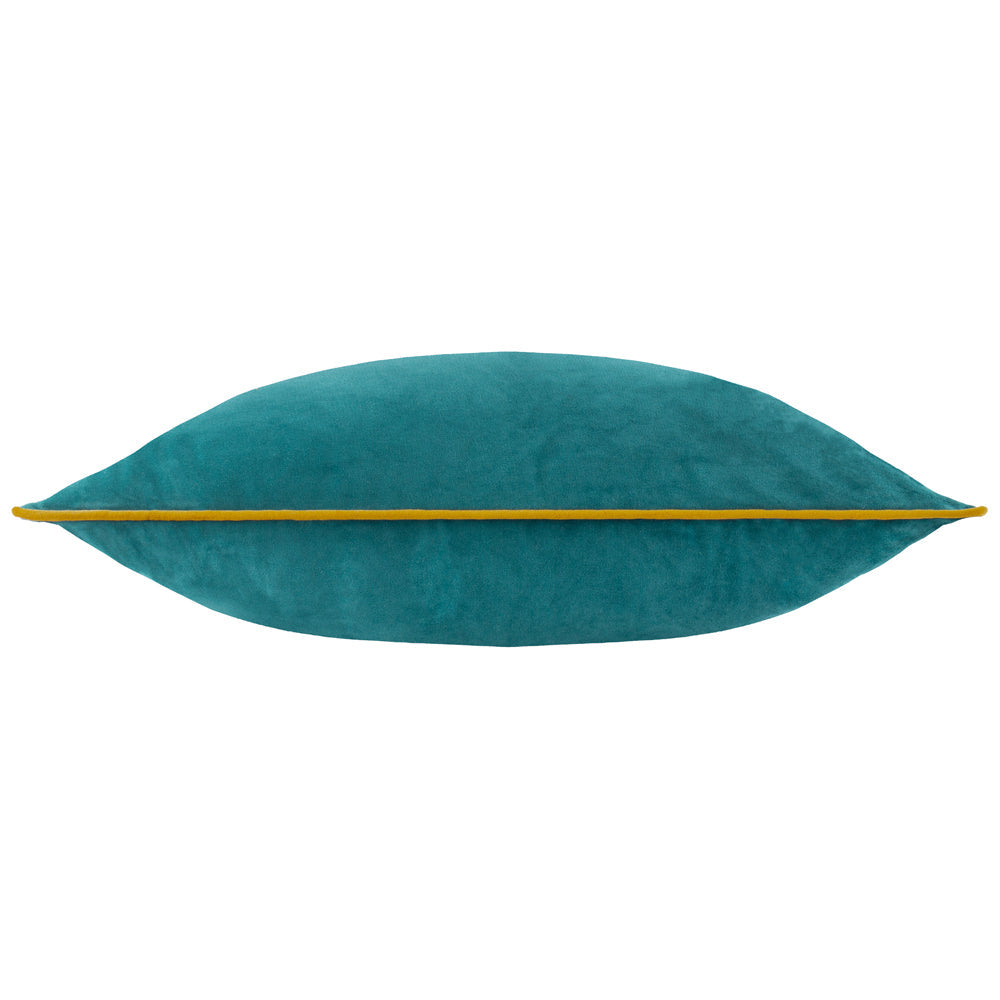 Meridian Velvet Cushion