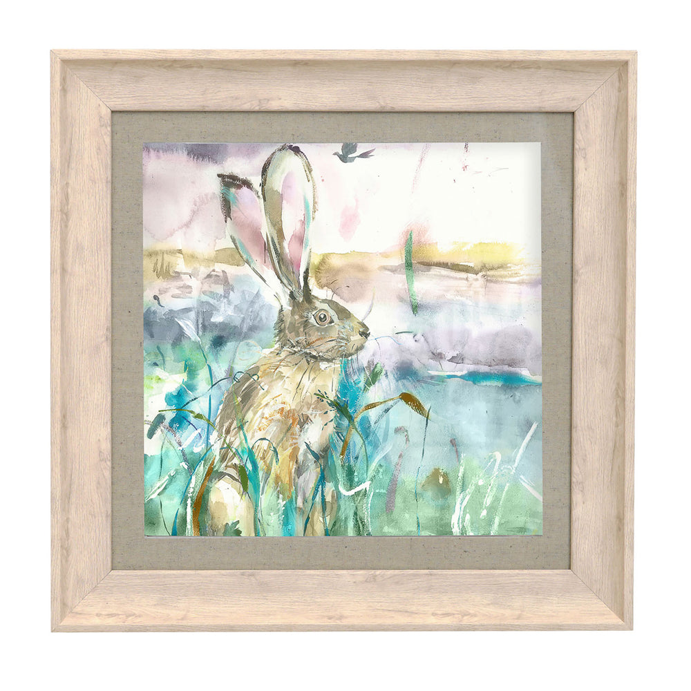 Morning Hare Framed Print