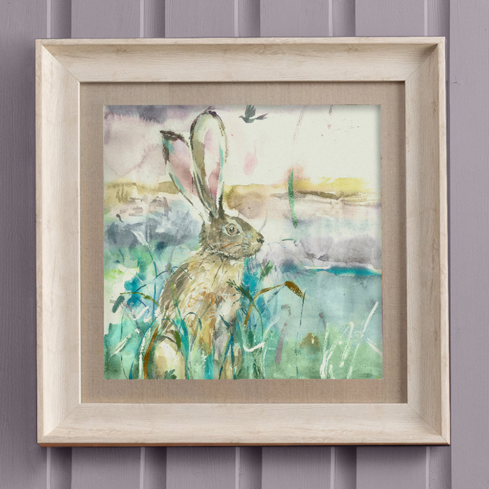 Morning Hare Framed Print