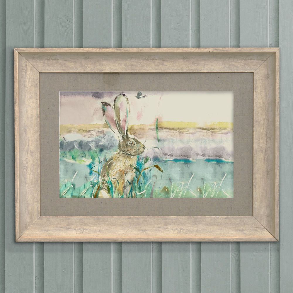 Morning Hare Framed Print