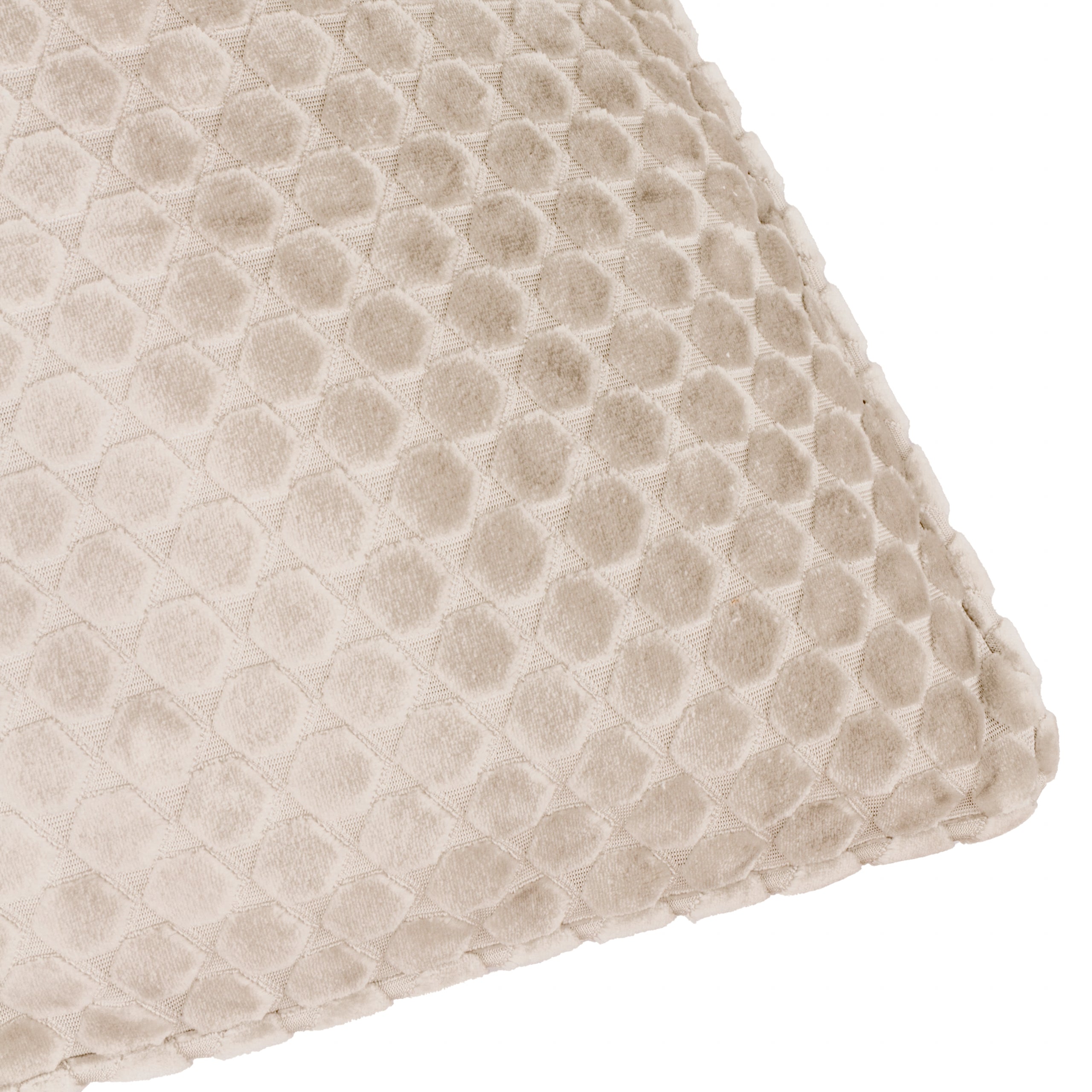 Neptune Velvet Cushion