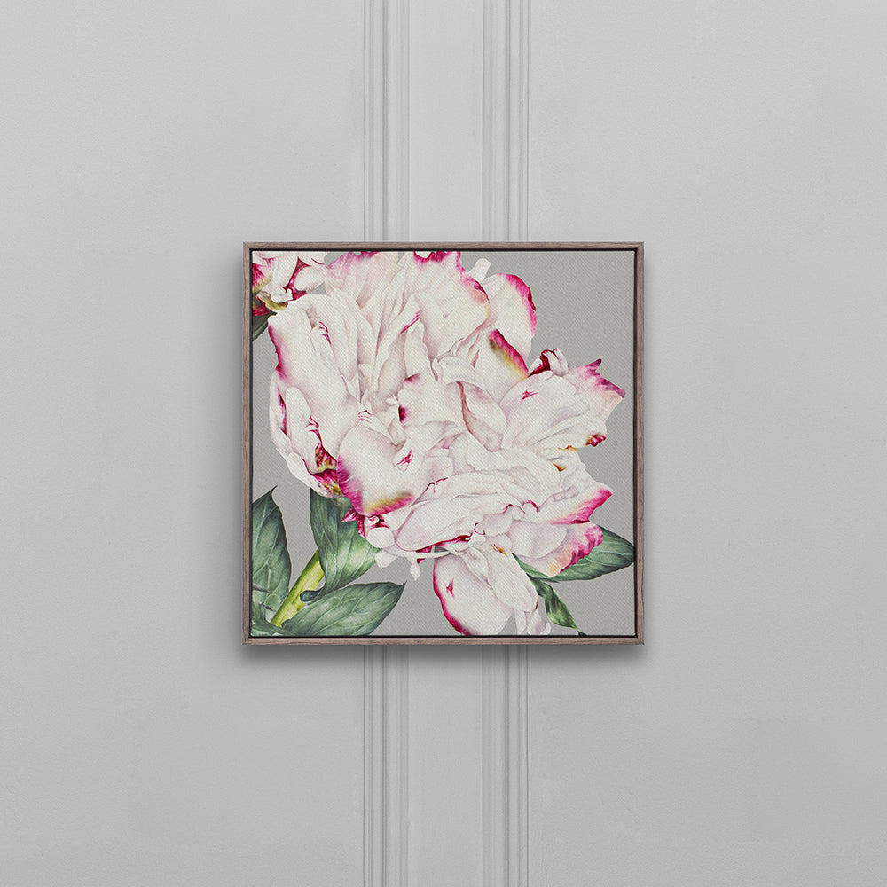 Parcevall Fuchsia Framed Canvas