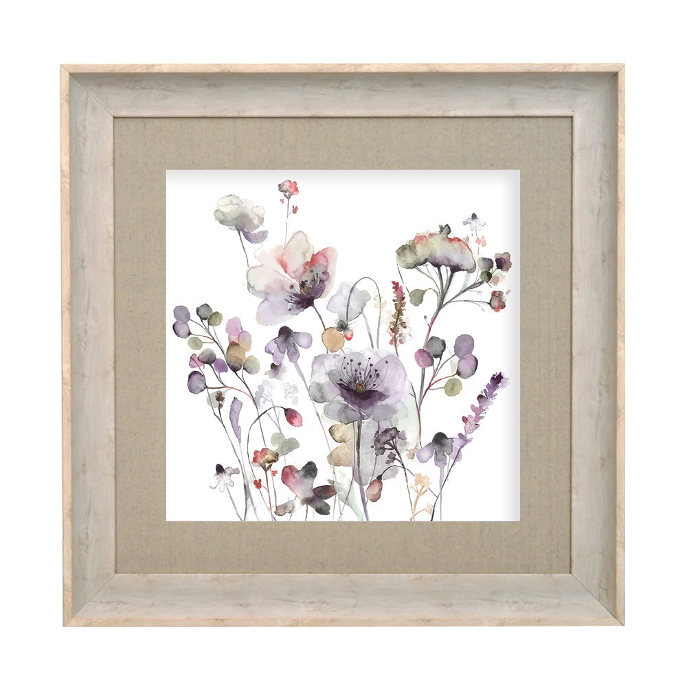Pimelea Framed Print