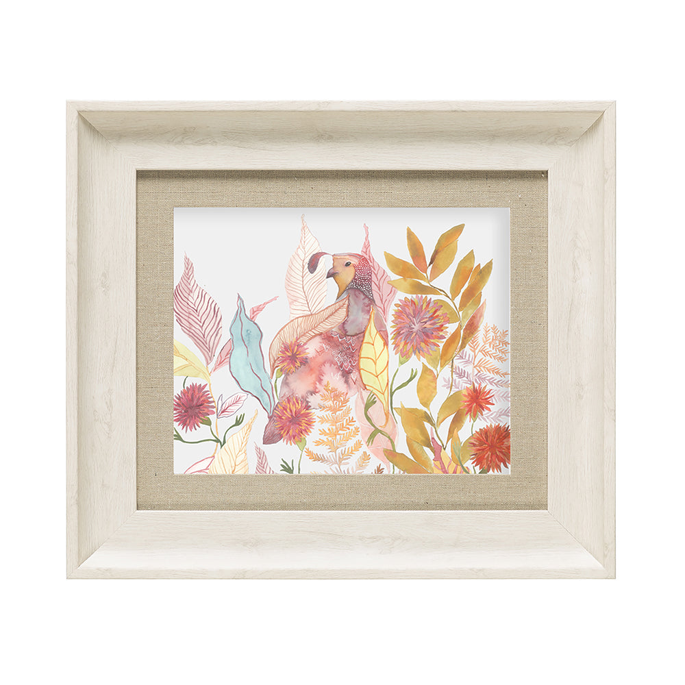 Quail Framed Print