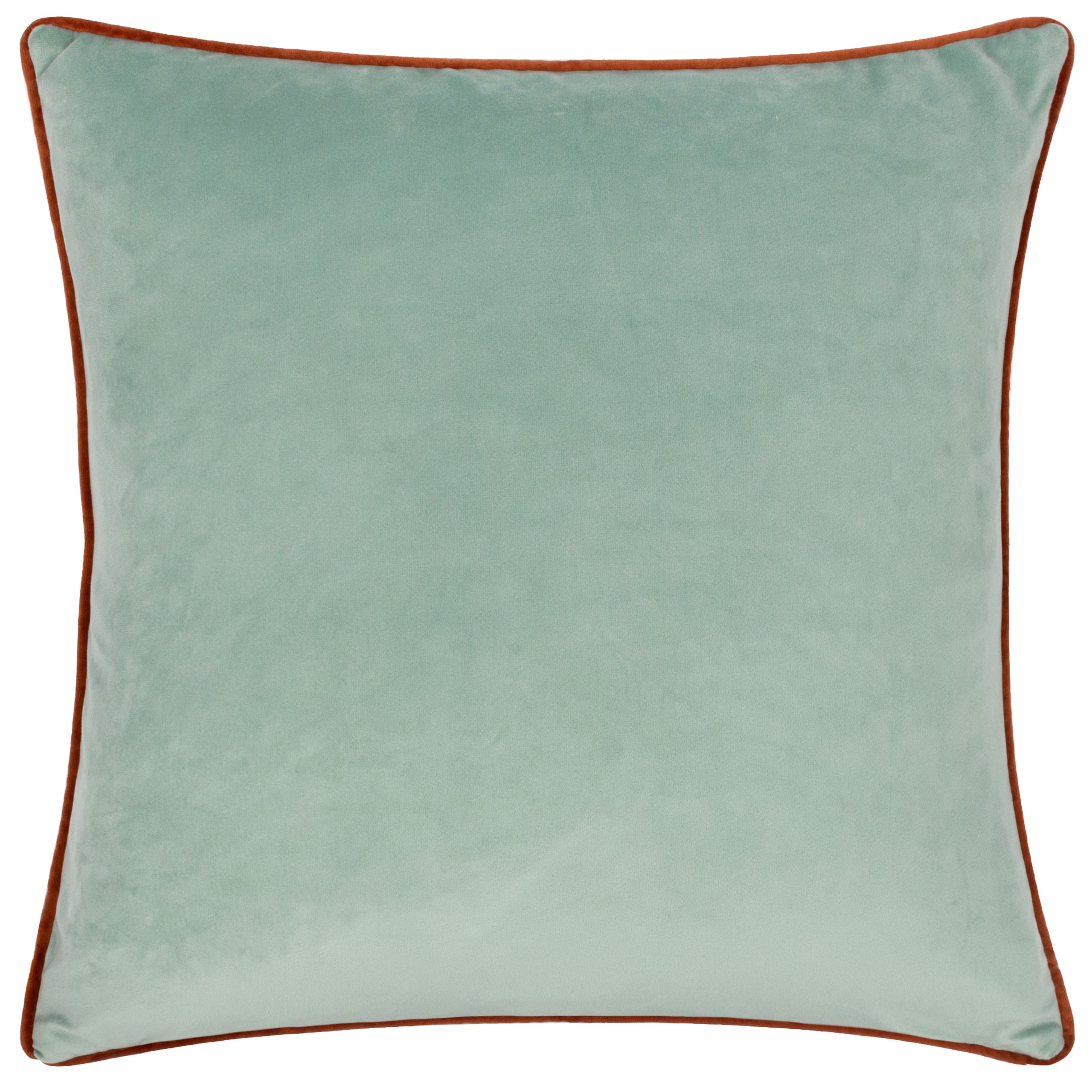 Roar Piped Velvet Cushion