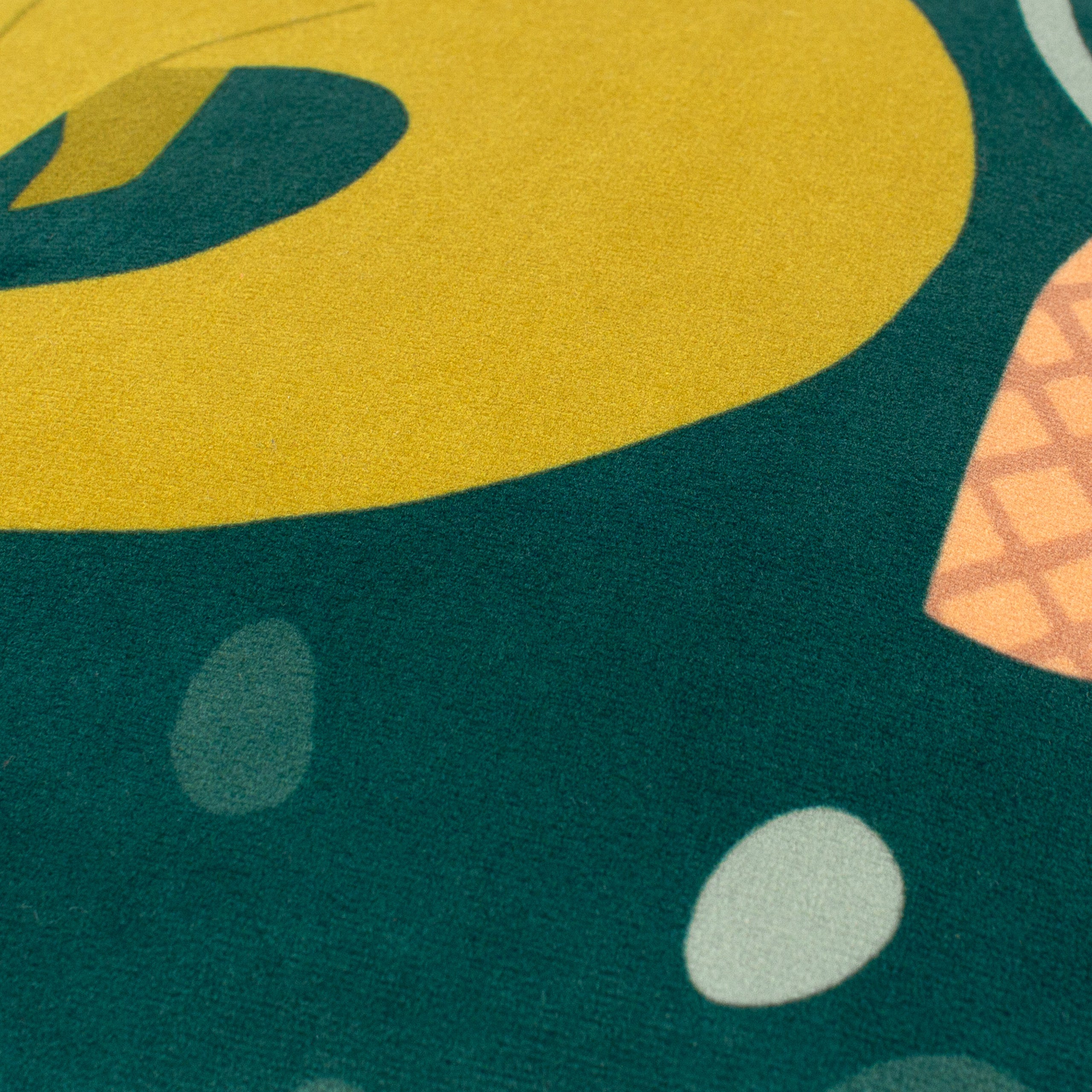 Roar Piped Velvet Cushion