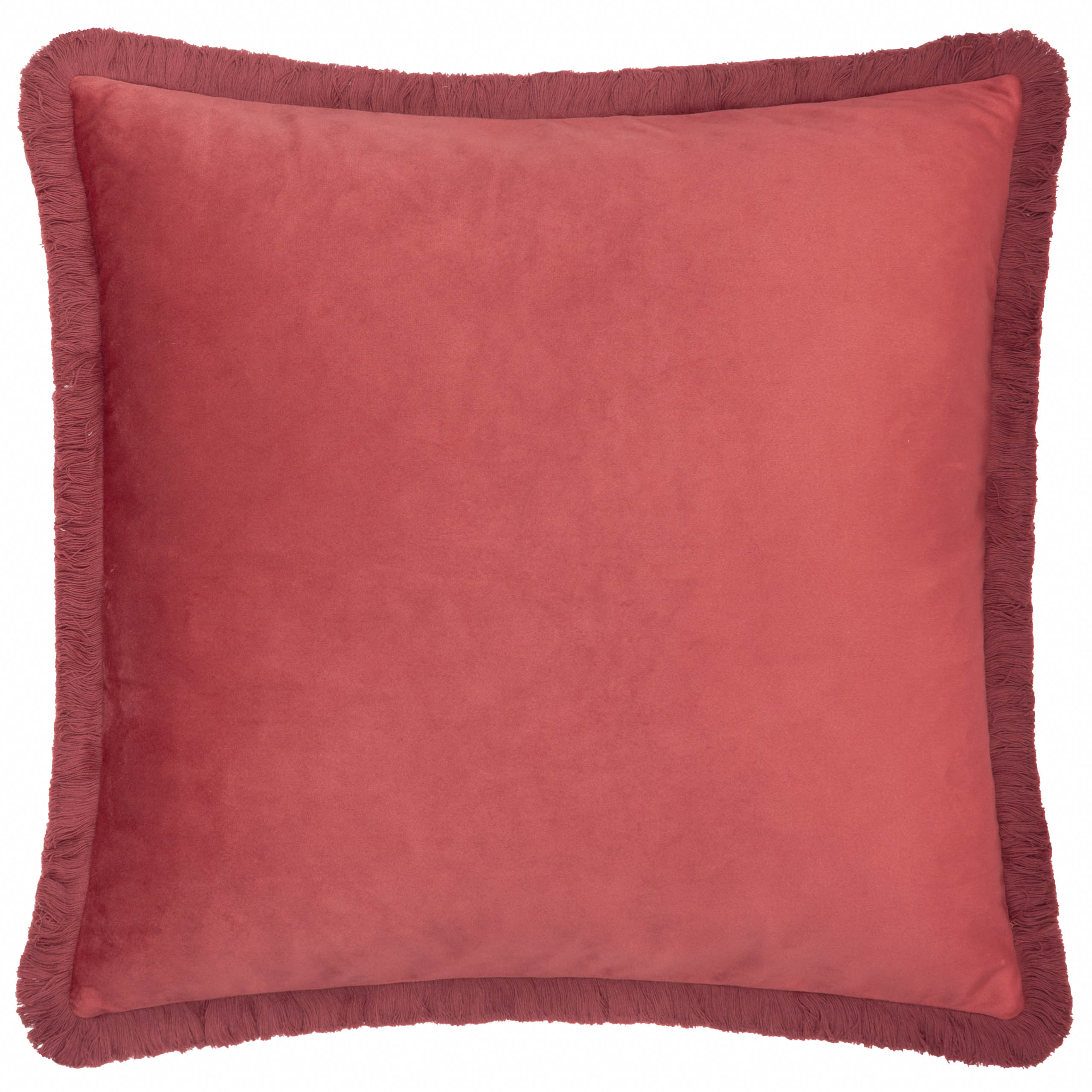 Straw Thief Embroidered Velvet Cushion