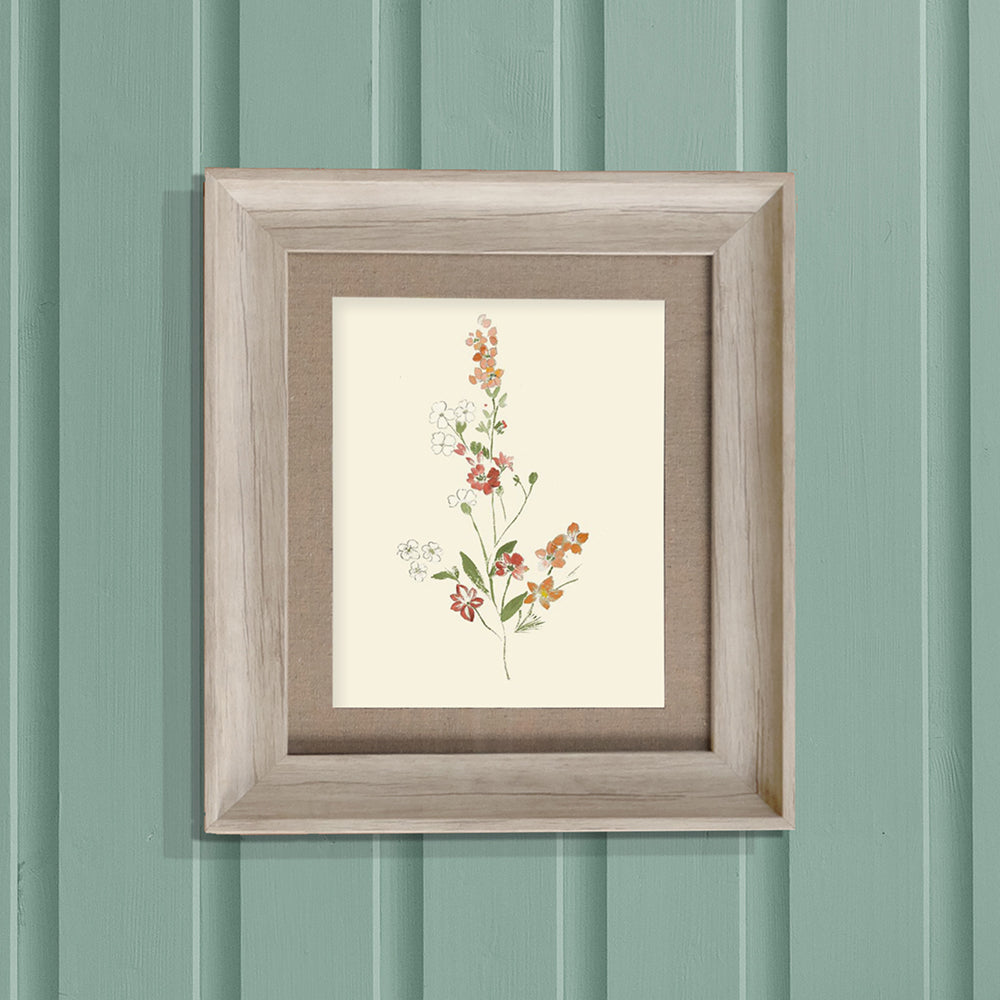 Tilly Framed Print