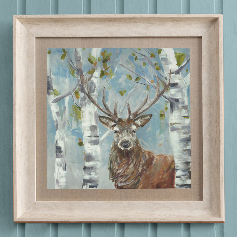 Woodland Stag Framed Print