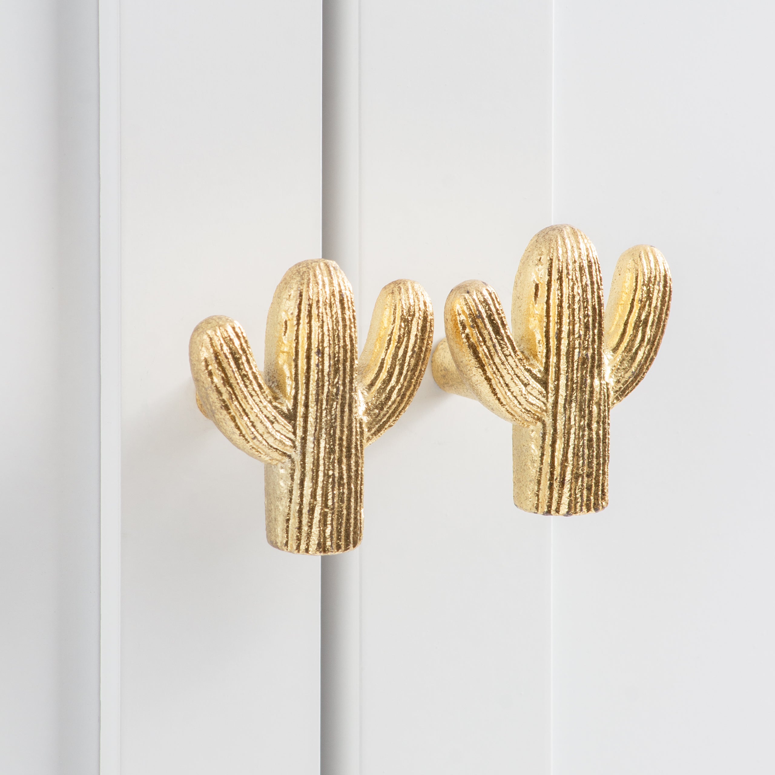 Cactus Set of 4 Drawer Knobs