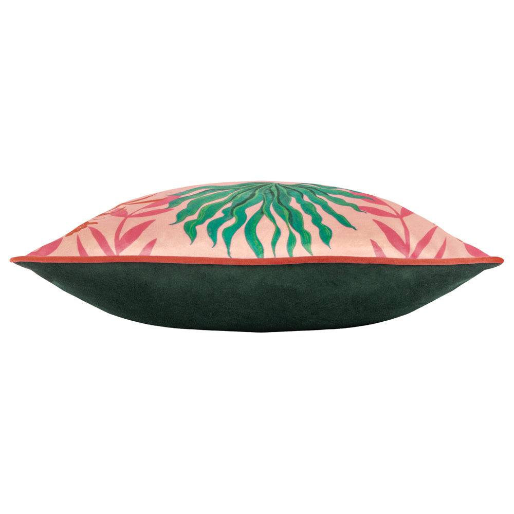 Leopards Illustrated Cushion