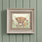 Alfie Highland Cow Framed Print