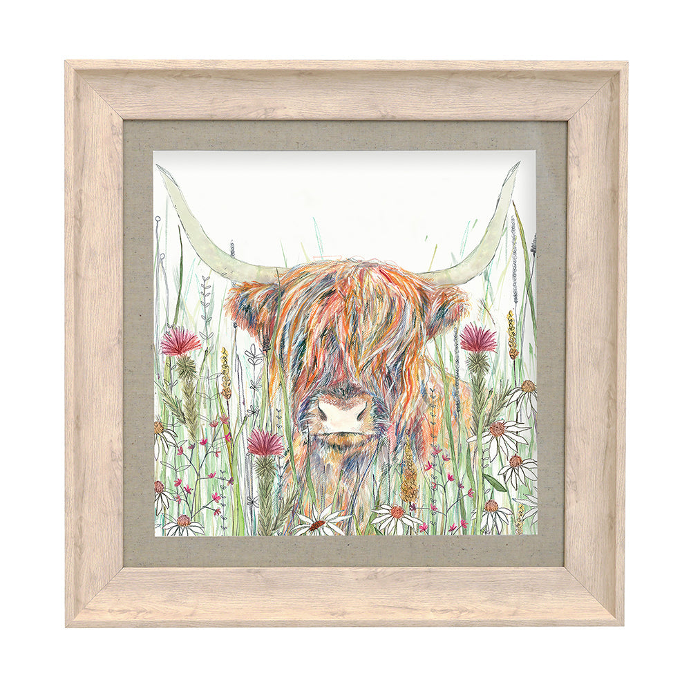 Alfie Highland Cow Framed Print