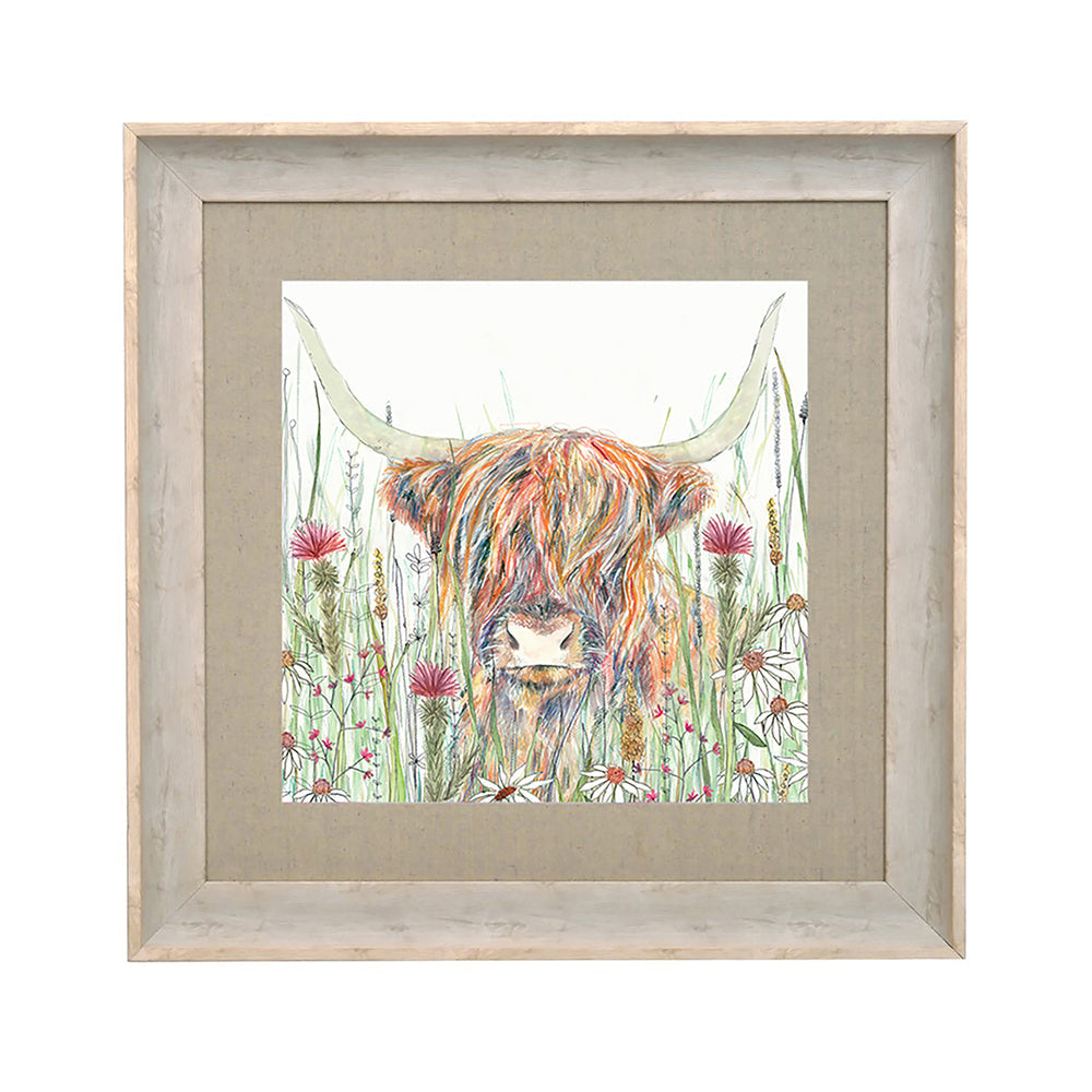 Alfie Highland Cow Framed Print