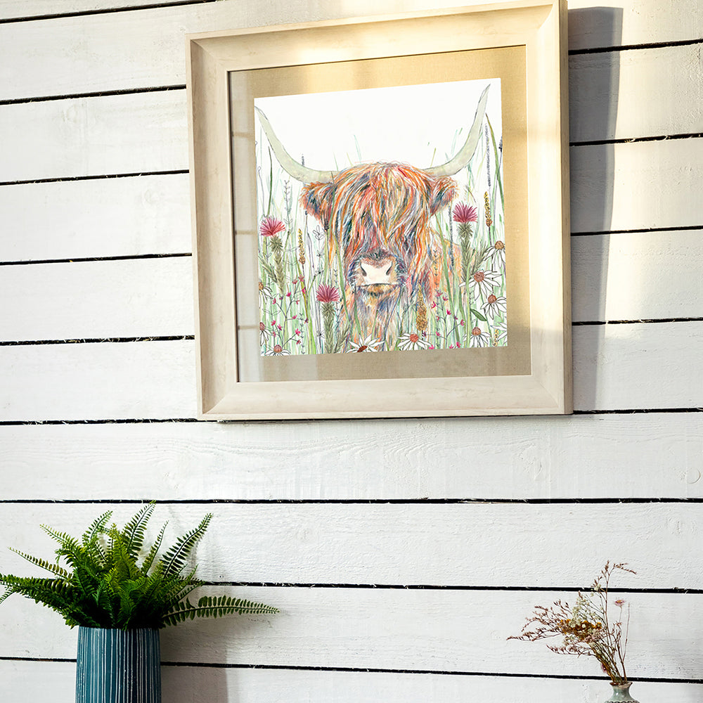 Alfie Highland Cow Framed Print