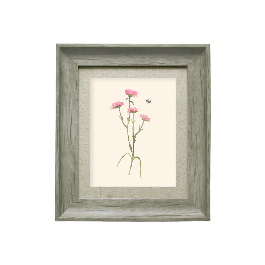 Allimore Framed Print