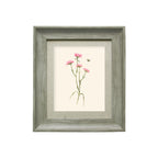 Allimore Framed Print