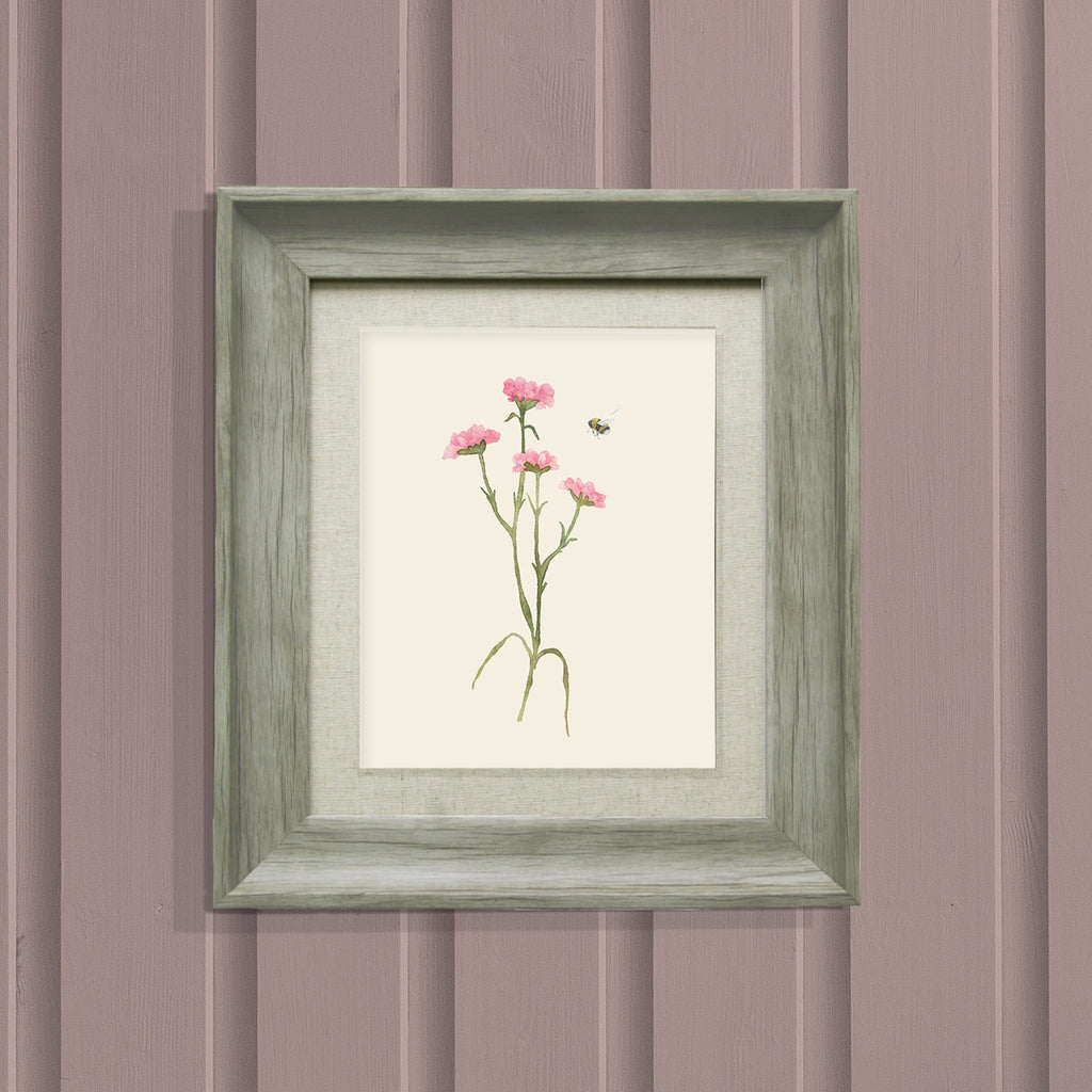 Allimore Framed Print