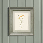 Allimore Framed Print