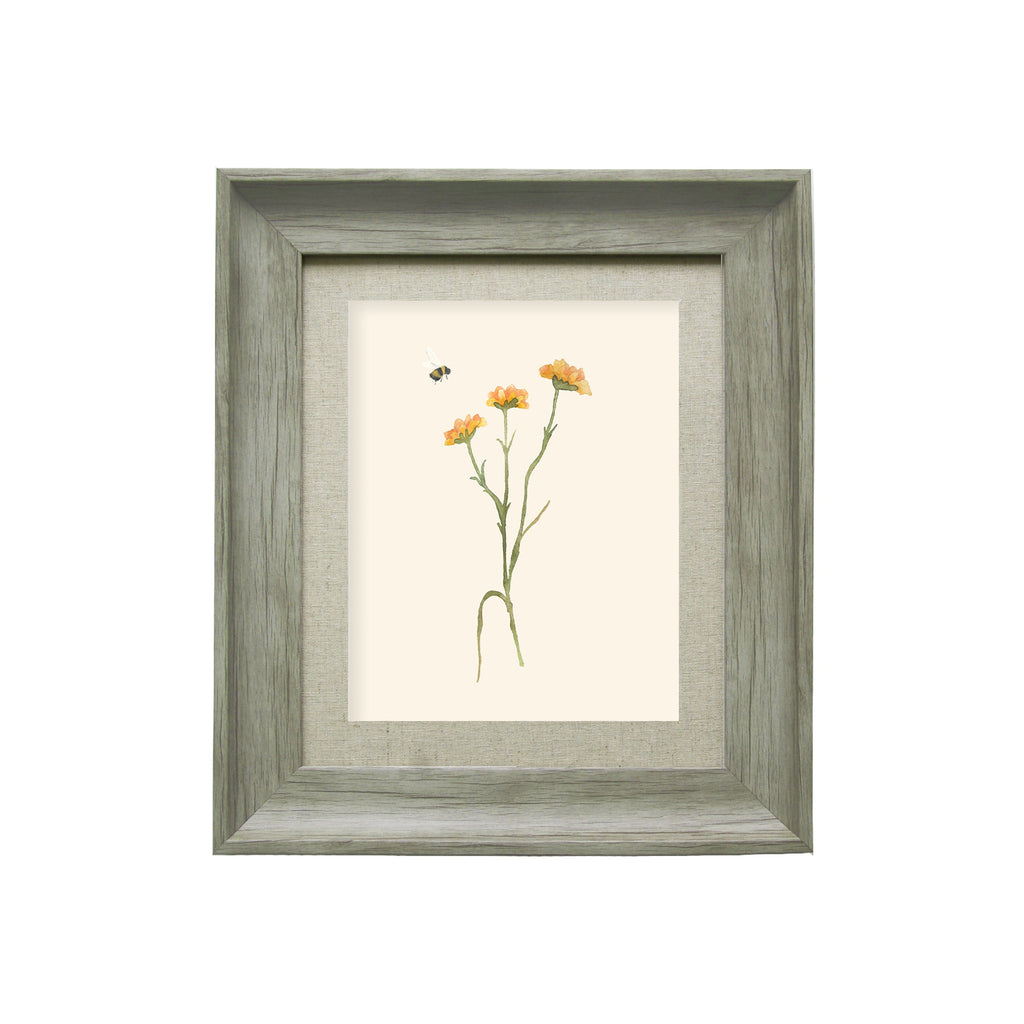 Allimore Framed Print