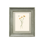 Allimore Framed Print