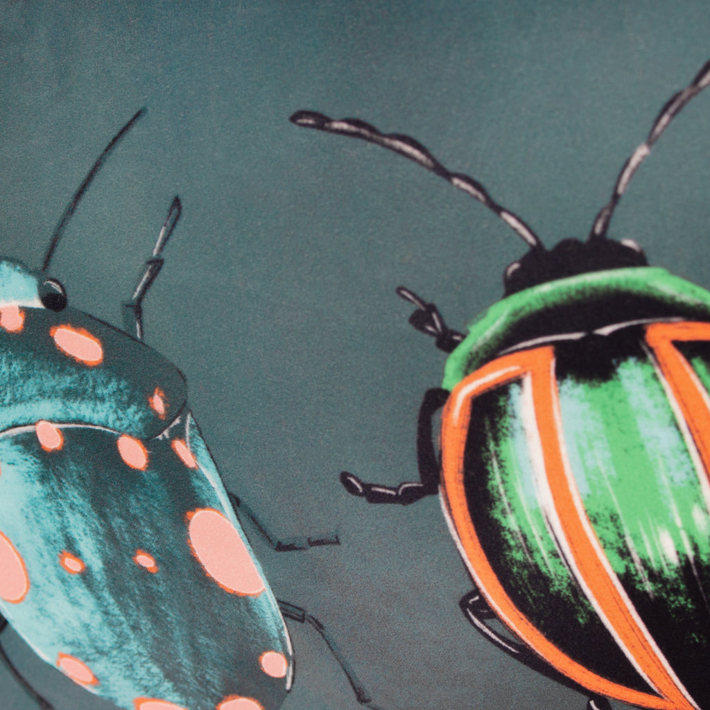 Beetalis Piped Velvet Cushion