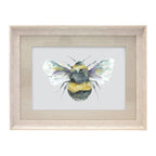 Bee Framed Print