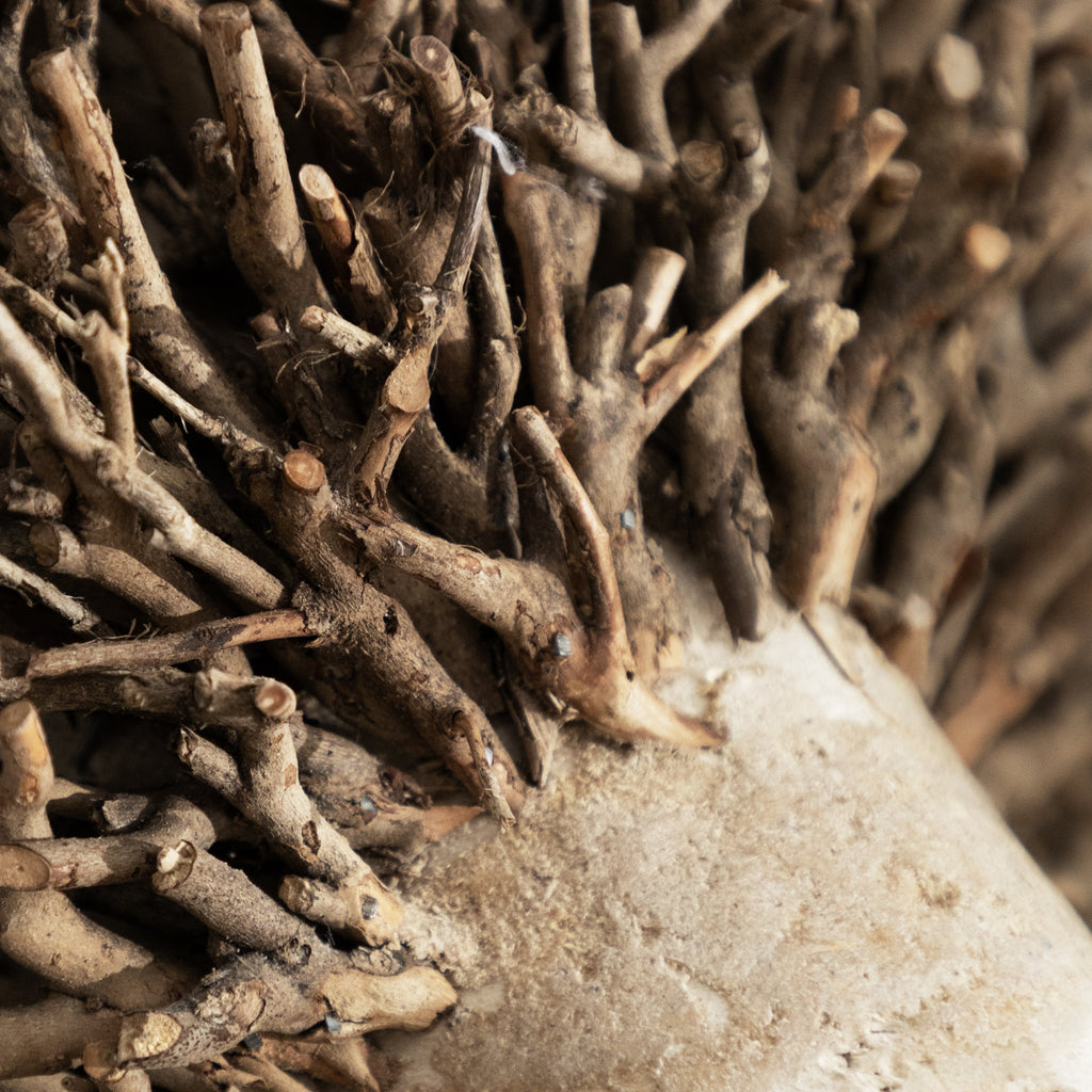 Betty Hand Crafted Ram Wooden Sculpture